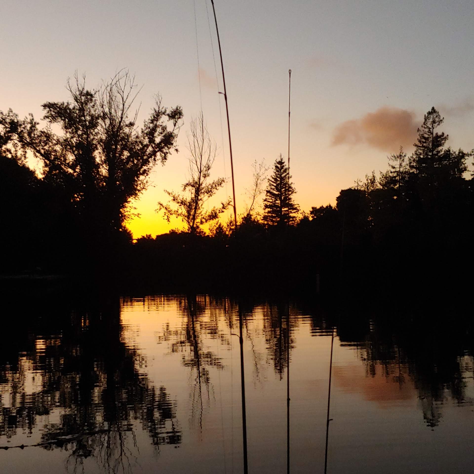 Japanese Domestic Market (JDM) - The Borrowed Lure