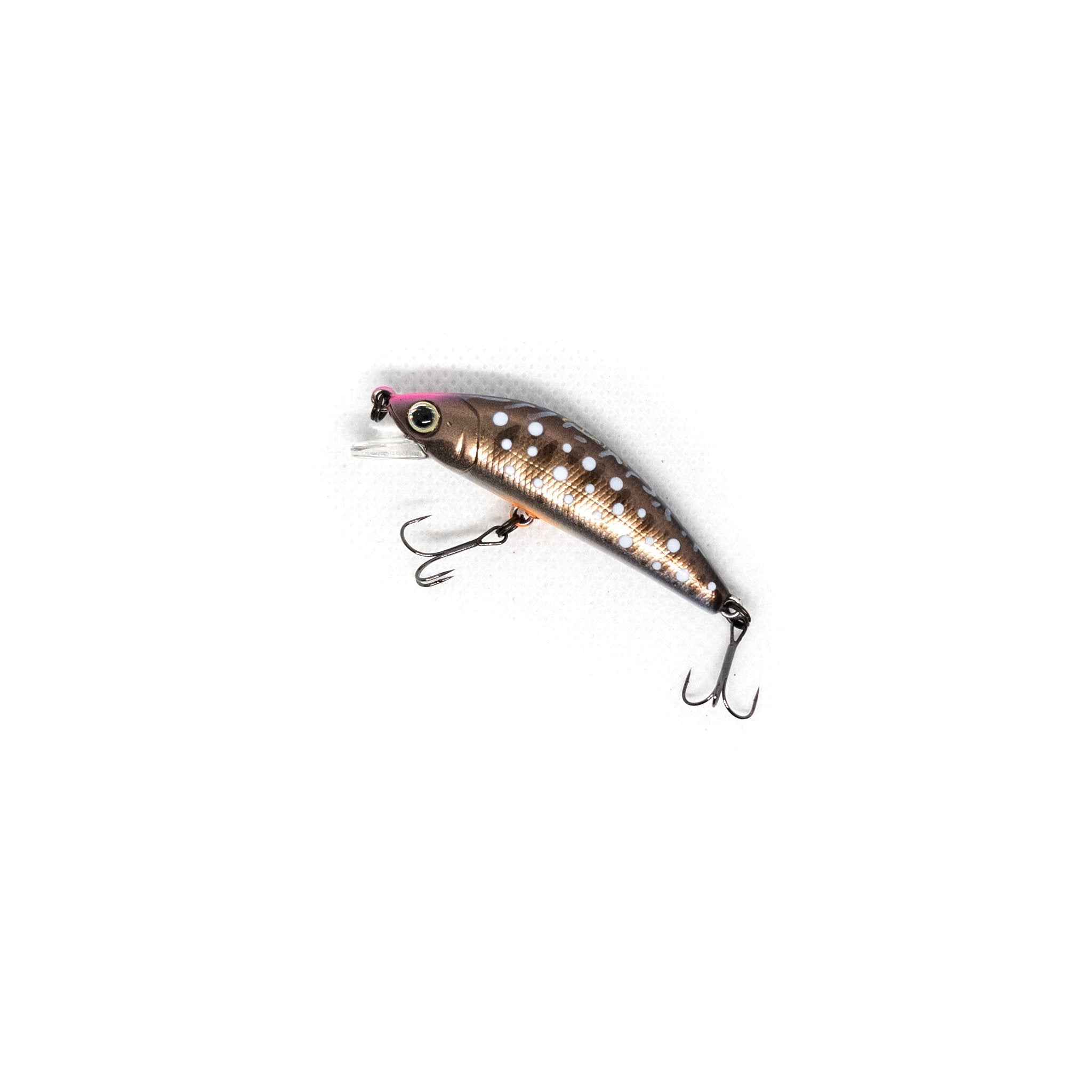 https://borrowedlure.com/cdn/shop/products/forest-ifish-ft-minnow-50s-color-4-470110.jpg?v=1662575453