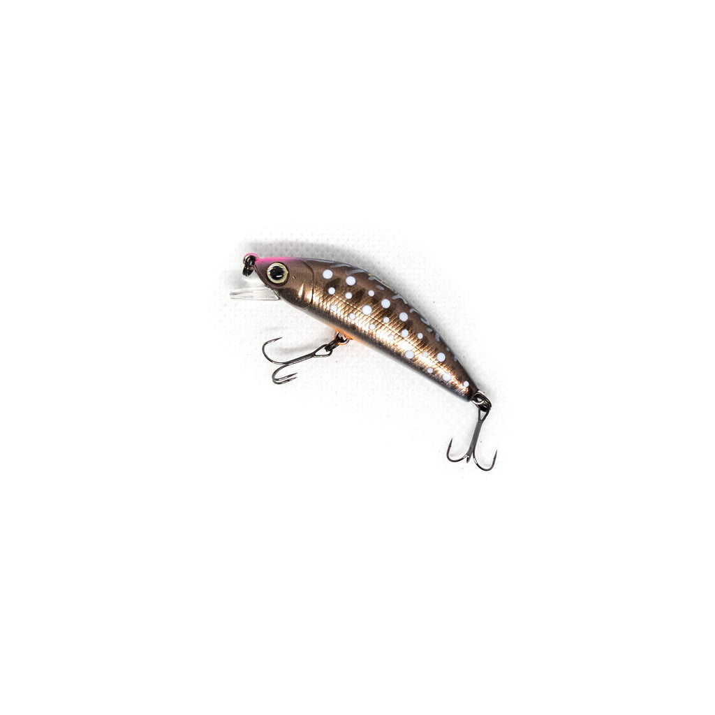Forest iFish FT Minnow 50s Color #4 - The Borrowed Lure