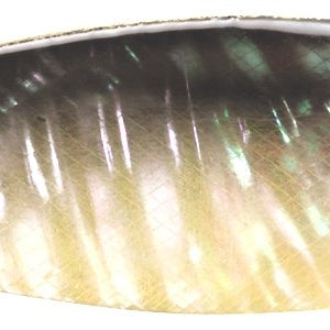 Smith Pure Shell II 3.5g Color "BK/G" - The Borrowed Lure